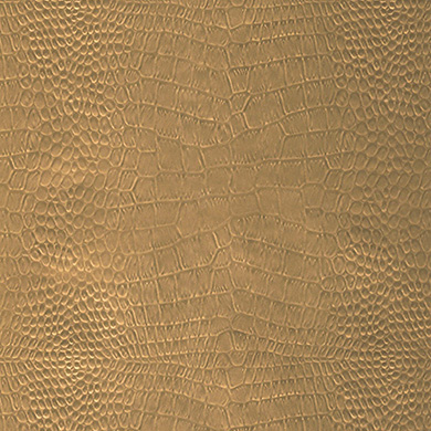 Crocodile or