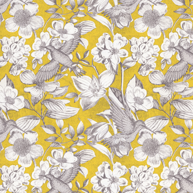 Colibri jaune