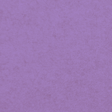 N° 3.04 lilas