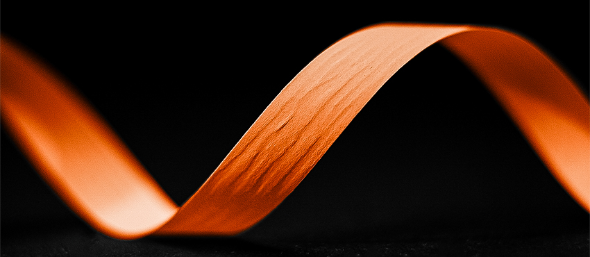 N° 065 madarine