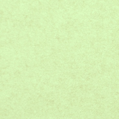 N° 11.01 pistache