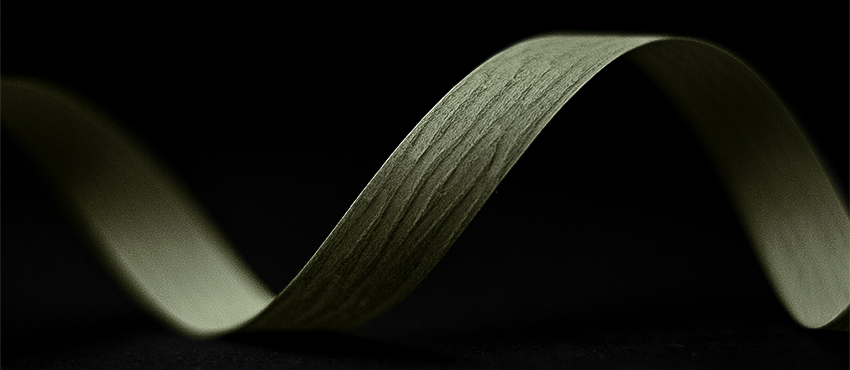 N° 555 mélèze