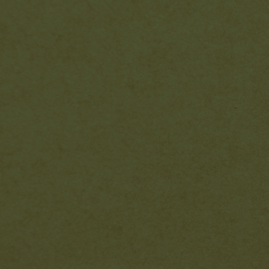N° 11.12 vert mousse
